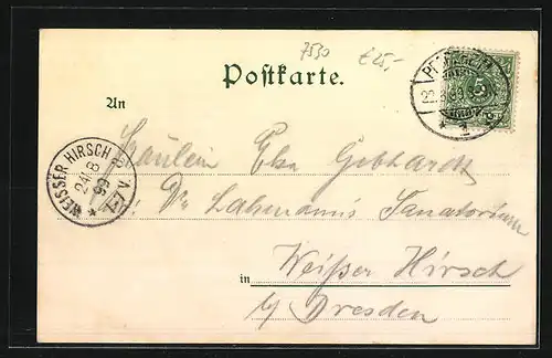 Lithographie Pforzheim, Schlosskirche, Blick v. d. Vorstadt