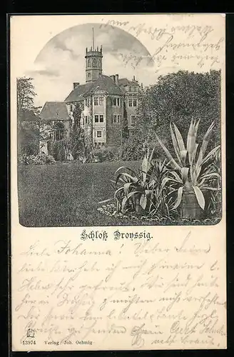 AK Droyssig, Schloss mit Park