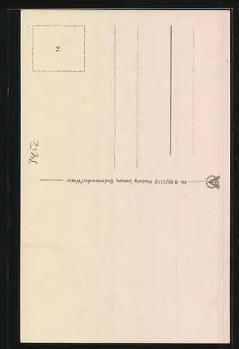 AK Bodenwerder a. d. Weser, Partie in der Homburgstrasse