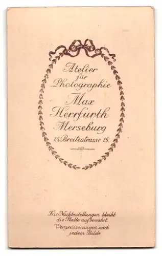 Fotografie Max Herrfurth, Merseburg, Breitestr. 15, Ältere Dame im Kleid mit Kragenbrosche