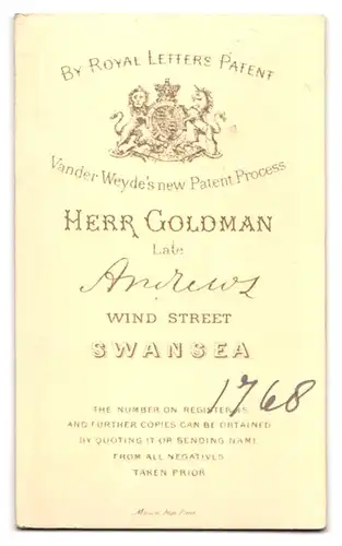 Fotografie Herr Goldman, Swansea, Wind Street, Bürgerlicher Herr mit Bart