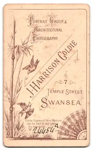 Fotografie J. Harrison Goldie, Swansea, 7, Temple Street, Bürgerliche Dame im zeitgenössischen Kleid