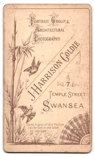 Fotografie J. Harrison Goldie, Swansea, 7, Temple Street, Bürgerlicher Herr mit junger Dame und jungem Mann