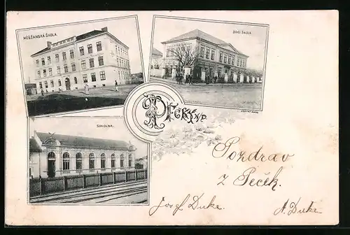 AK Pecky, Sokolona, Mestanska Skola