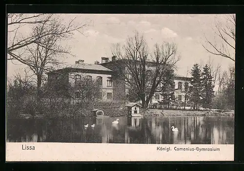 AK Lissa, Königl. Comenius-Gymnasium