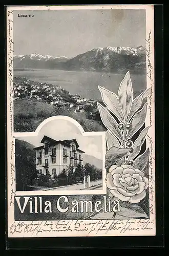 AK Locarno, Hotel Villa Camelia, Totalansicht