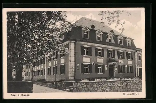 AK Saal / Donau, Donau Hotel, Gebäudeansicht