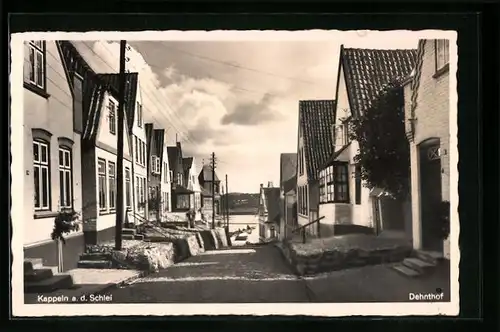 AK Kappeln / Schlei, Strassenpartie Dehnthof