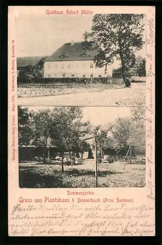 AK Dommitzsch, Gasthaus Plantshaus von Robert Müller mit Sommergarten