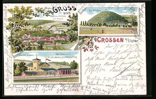 Lithographie Crossen a. Elster, Bahnhofs-Gasthaus Otto Lieberwirrn und Bahnhof, Blick vom Mühlberg auf den Ort