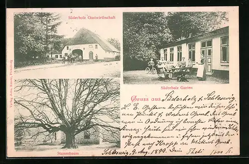 AK Süderholz, Gasthaus Süderholz, Stammbaum