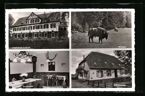 AK Eulbach i. Odenwald, Waldgaststätte Dick, im Gastzimmer, im Wildpark, Jagdschloss Eulbach