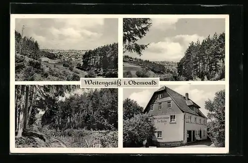 AK Weitengesäss im Odenwald, Gasthaus Pension Zur Krone, Partie im Wald, Talpanorama