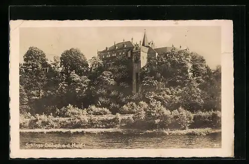 AK Döben a. d. Mulde, Blick auf das Schloss