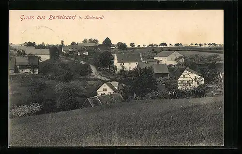 AK Bertelsdorf b. Liebstadt, Ortstotale vom Feld aus gesehen