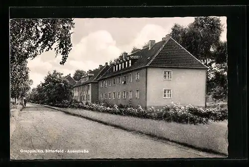 AK Greppin bei Bitterfeld, Häuser in der Auenstrasse