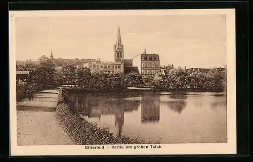 AK Bitterfeld, Wegpartie am grossen Teich mit Blick zur ev. Kirche