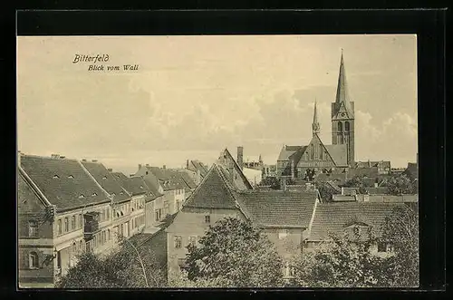 AK Bitterfeld, Blick vom Wall zur ev. Kirche