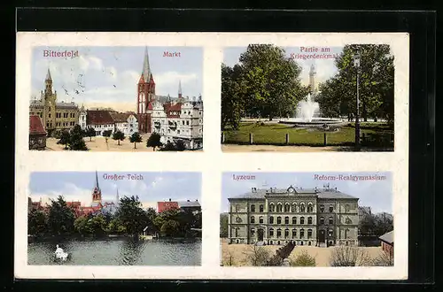 AK Bitterfeld, Kirche, Lyzeum, Grosser Teich, Kriegerdenkmal