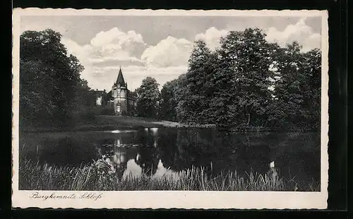 AK Burgkemnitz i. d. Dübener Heide, Blick vom Ufer zum Schloss