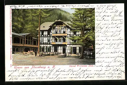 AK Ilsenburg a. Harz, Gartenlokal am Hotel Prinzess Ilse