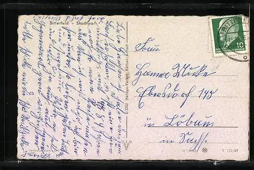 AK Bitterfeld, Partie im Stadtpark