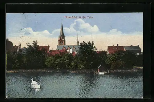 AK Bitterfeld, die Kirche vom Grossen Teich aus gesehen