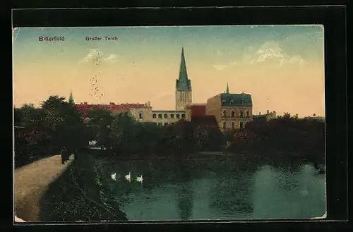 AK Bitterfeld, Wegpartie am Grossen Teich, Blick zur Kirche