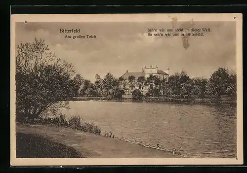 AK Bitterfeld, Wegpartie am Grossen Teich, Vers der Stadt