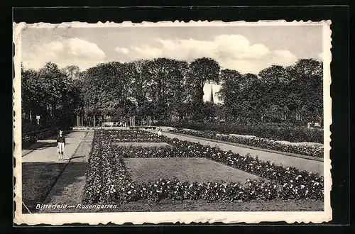 AK Bitterfeld, Junge im Rosengarten