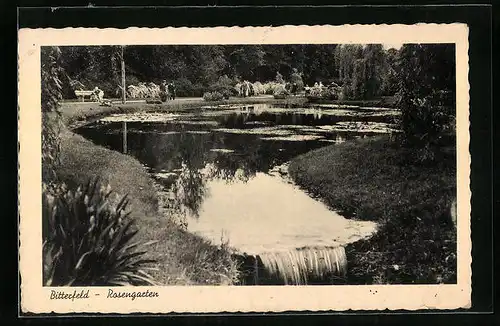 AK Bitterfeld, Teichanlagen im Rosengarten