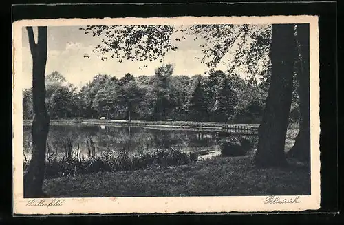 AK Bitterfeld, am Ufer des Pilzteich