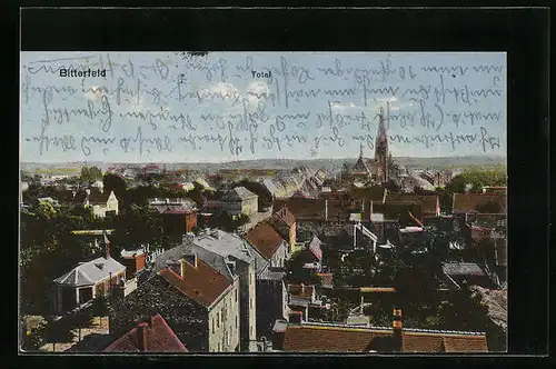 AK Bitterfeld, Totalansicht der Stadt, Blick zur Ev. Kirche