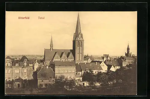 AK Bitterfeld, Totalansicht, Blick auf die Ev. Kirche