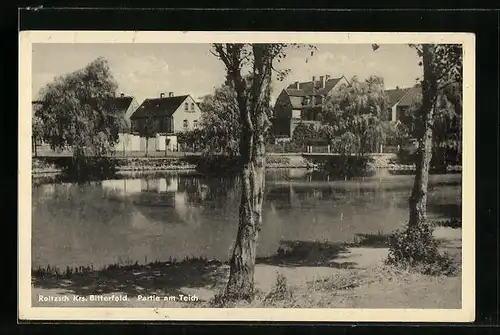 AK Roitzsch bei Bitterfeld, am Teichufer, Blick auf die Stadtvillen