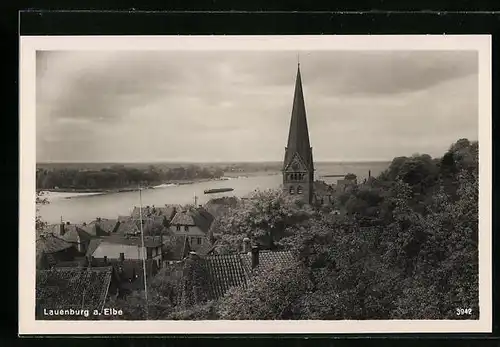 AK Lauenburg a. Elbe, Blick auf die Kirche und den Fluss