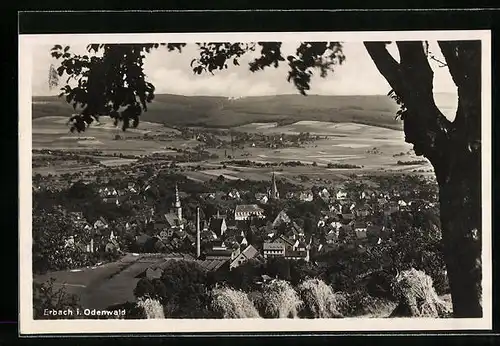 AK Erbach i. Odenwald, Generalansicht mit Talblick