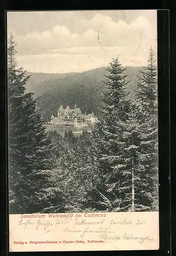 AK Todtmoos, Blick vom Wald auf das Haus Wehrawald