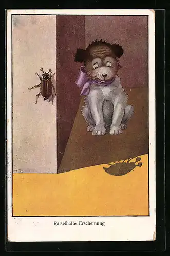 Künstler-AK H. Zahl: Rätselhafte Erscheinung, Hund erschrickt vor Schatten eines Käfers
