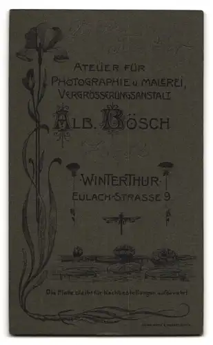 Fotografie Alb. Bösch, Winterthur, Eulach-Str. 9, Portrait stattlicher Mann mit Bart im Jackett