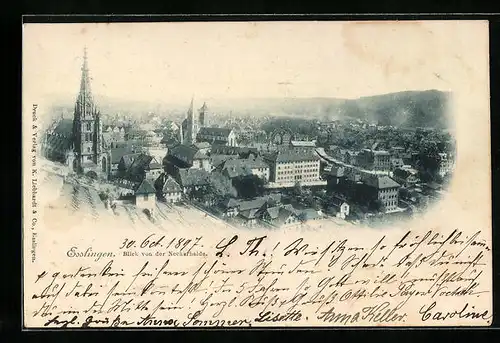 AK Esslingen / Neckar, Blick von der Neckarhalde