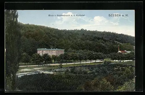 AK Seesen a. H., Blick v. Gräfenbruch a. d. Kurhotel