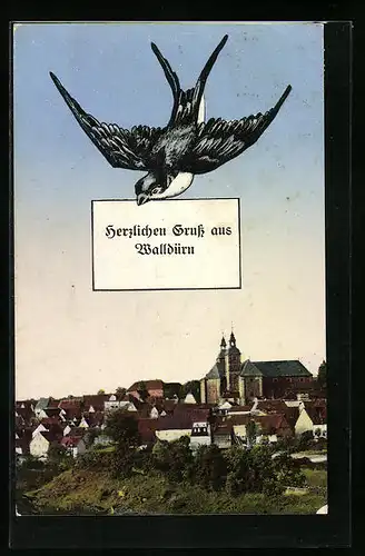AK Walldürn, Gesamtansicht, Vogel
