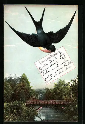 AK Reinbeck, Fluss mit Brücke, Vogel