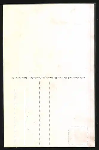 AK Tecklenburg i. W., Freilichtbühne, Gesamtansicht