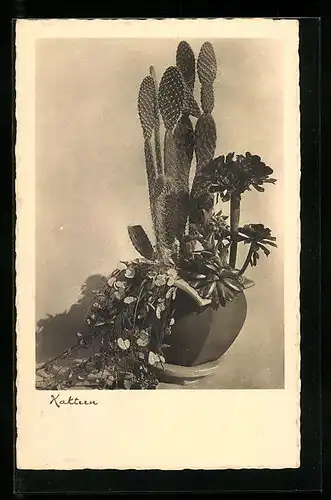 AK Kaktus und Pflanze in einer Vase