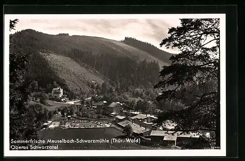 AK Meuselbach-Schwarzmühle / Thür. Wald, Blick in das Obere Schwarzatal