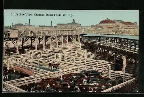 AK Chicago, IL, Bird's Eye View, Chicago Stock Yards