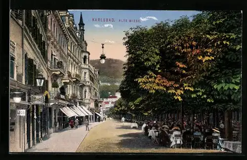 AK Karlsbad, Alte Wiese