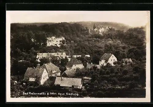 AK Bad Freienwalde a. Oder, Blick auf die Neue Siedlung